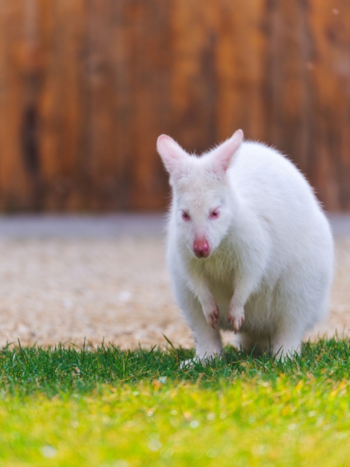 tumblr_m69dn1tnZh1qzya49o1_500