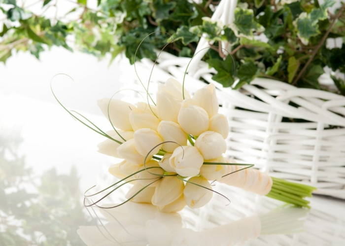 white-tulips-for-wedding-bouquet