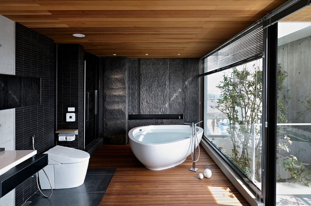 35 Magnificent & Dazzling Bathtub Designs 2015 (3)