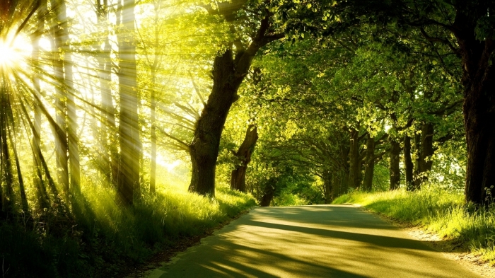 Why Should I Believe in God? 13 Why Should I Believe in God (12)