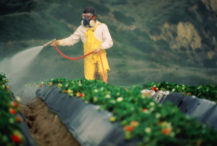 pesticide-spraying- How Can I Help the Environment?