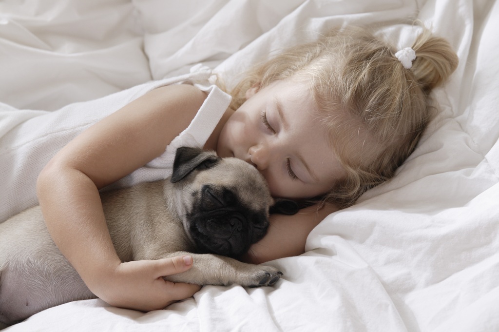 5 Interesting Facts Revealing What Your Dog Dreams About (7)