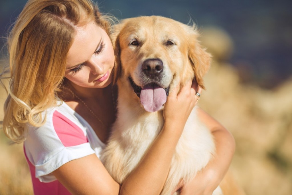 How Can I Stop My Dog from Digging? 13 How Can I Stop My Dog from Digging (12)