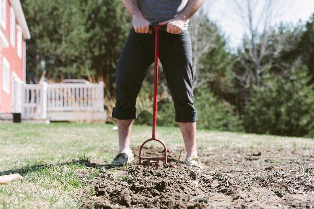 How-Can-I-Stop-My-Dog-from-Digging-23 How Can I Stop My Dog from Digging?