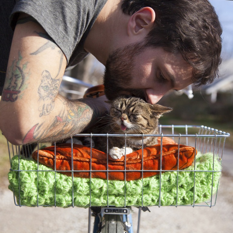 What Is the Secret behind Lil Bub’s Unique Appearance (10)