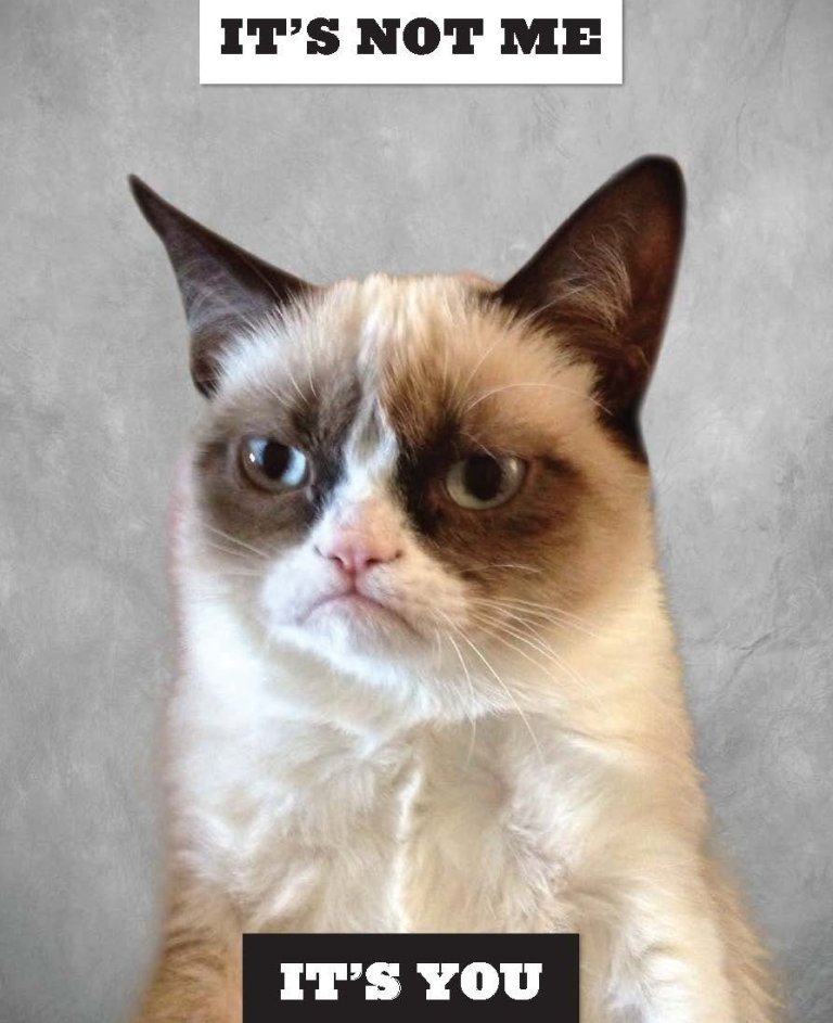 Why Is The Grumpy Cat Always Angry?
