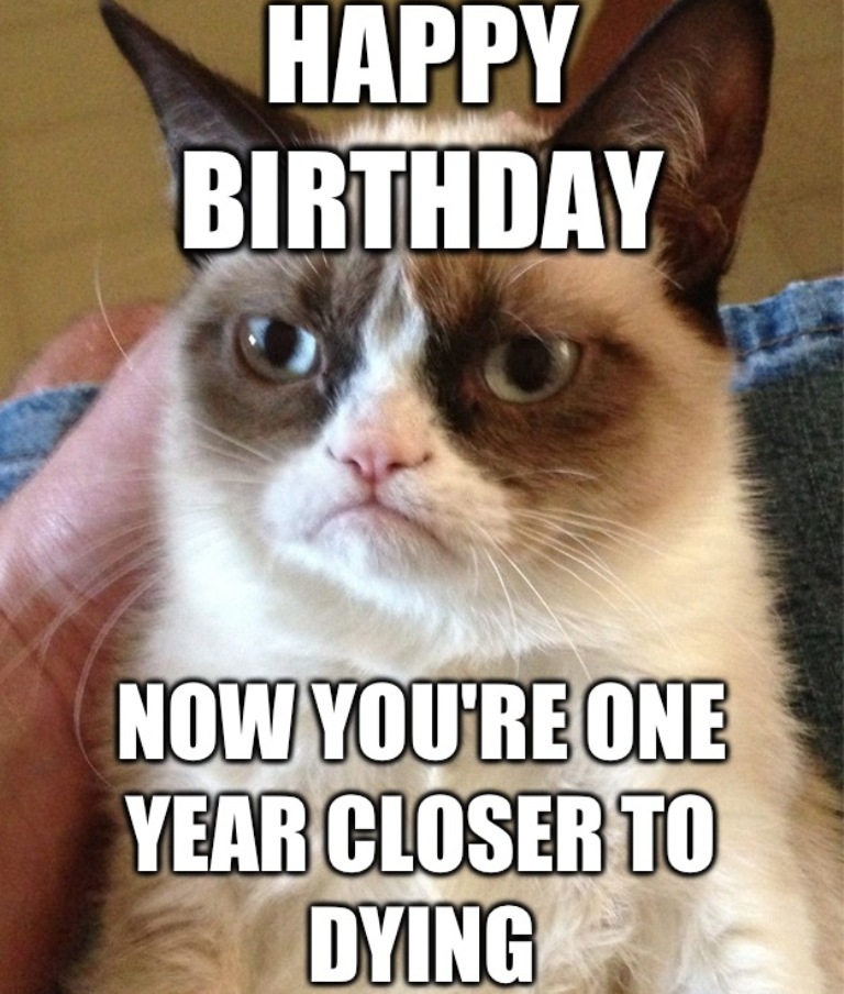 Why Is the Grumpy Cat Always Angry? 18 Why Is the Grumpy Cat Always Angry (16)