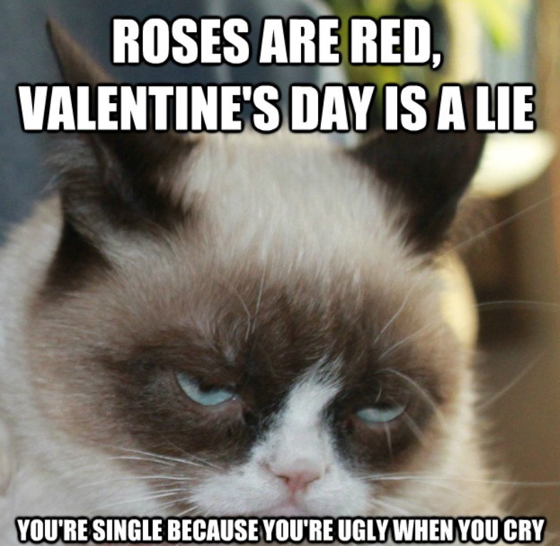Why Is the Grumpy Cat Always Angry? 22 Why Is the Grumpy Cat Always Angry (20)