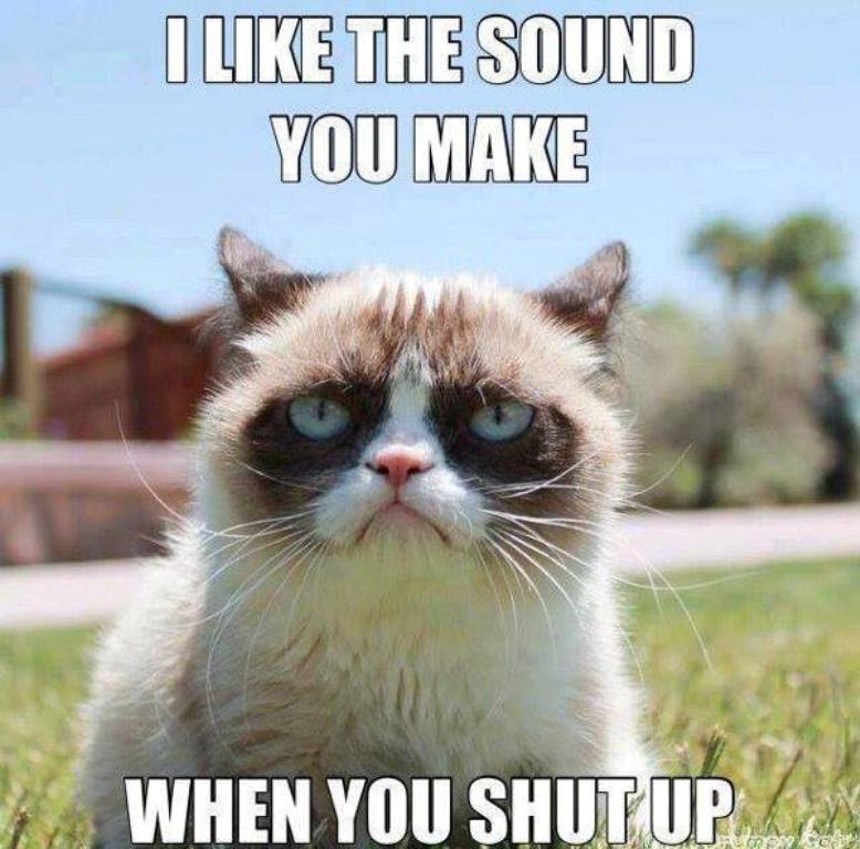 Why Is the Grumpy Cat Always Angry? 23 Why Is the Grumpy Cat Always Angry (21)