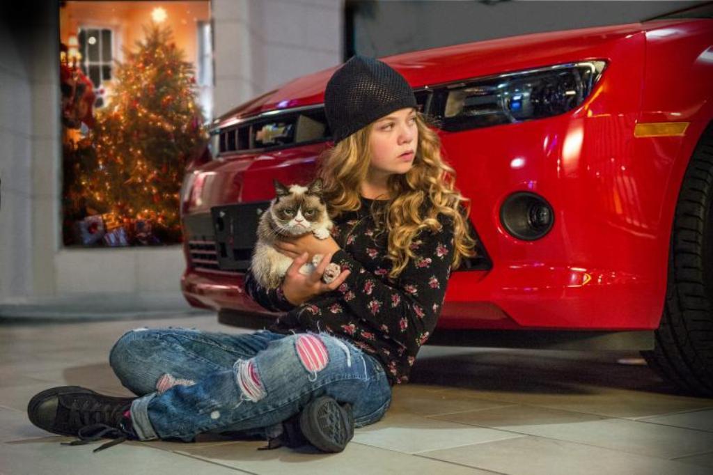 Why Is the Grumpy Cat Always Angry? 25 Why Is the Grumpy Cat Always Angry (23)