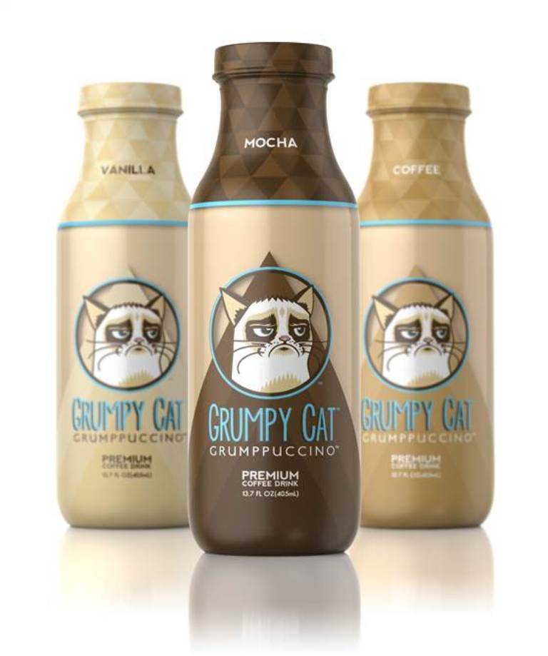 Why Is the Grumpy Cat Always Angry? 26 Why Is the Grumpy Cat Always Angry (24)