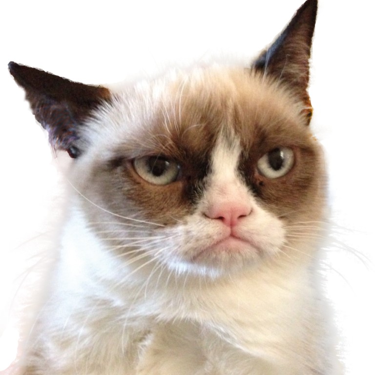 Why Is the Grumpy Cat Always Angry? Pouted Magazine
