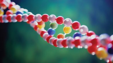TOP 10 DNA Amazing Facts That You Must Know 127 dna 1 TOP 10 DNA Amazing Facts That You Must Know - 121