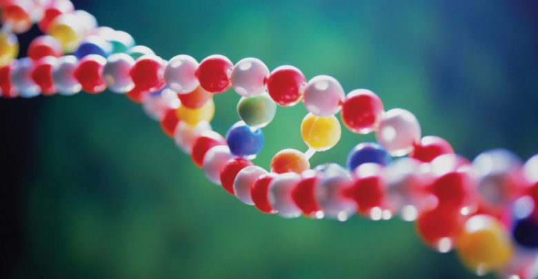 dna 1 TOP 10 DNA Amazing Facts That You Must Know - 1