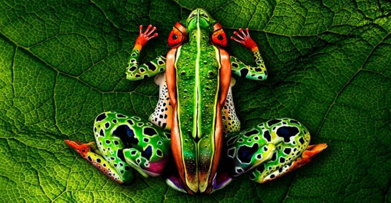 3D Body Paintings 32 58 Most Marvelous 3D Body Paintings - body art 1