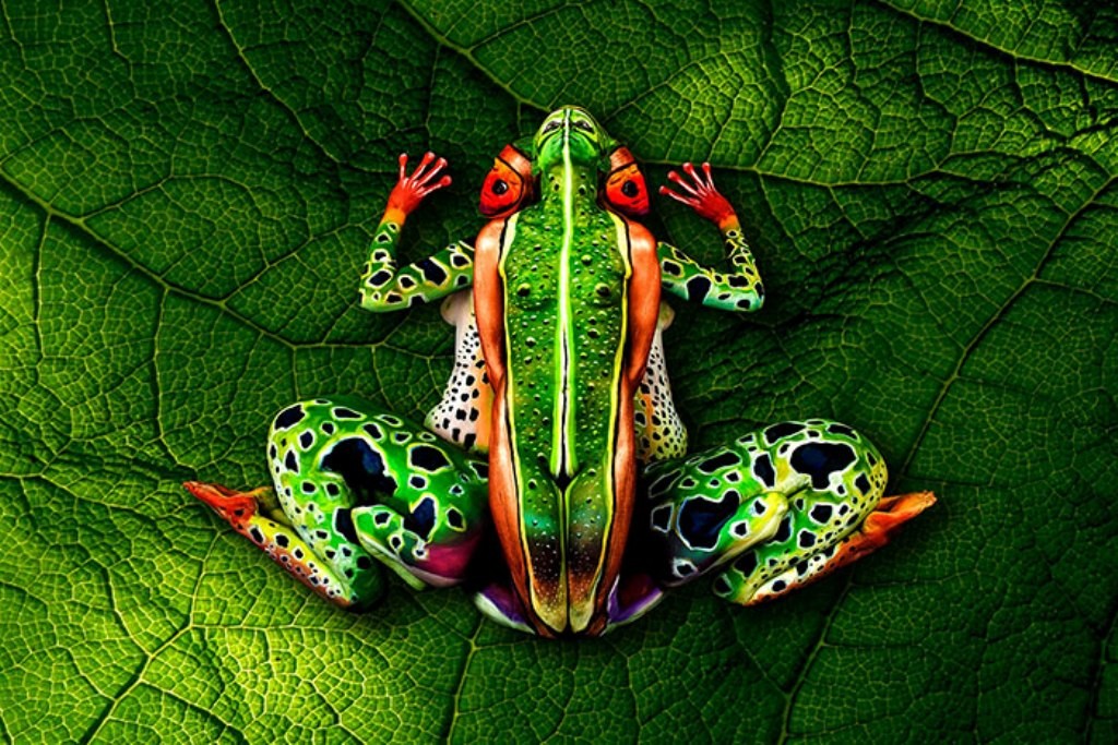 3D-Body-Paintings-32 58 Most Marvelous 3D Body Paintings