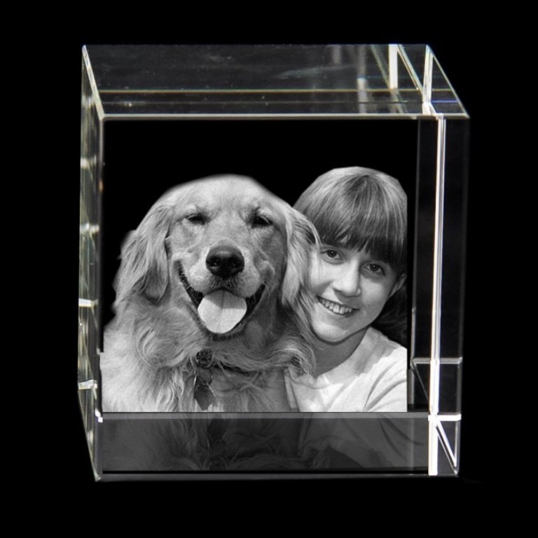 49 Most Fabulous 3D Portraits in Glass 3 3D Portraits in Glass (1)