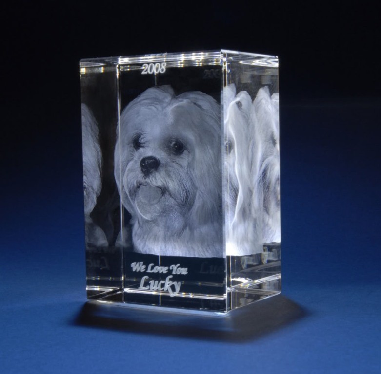 3D Portraits in Glass (36)