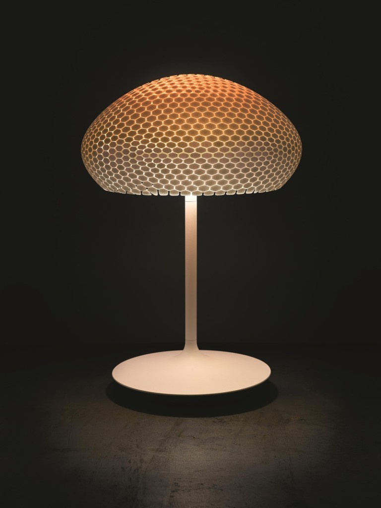 3D Printed Lamps (38)