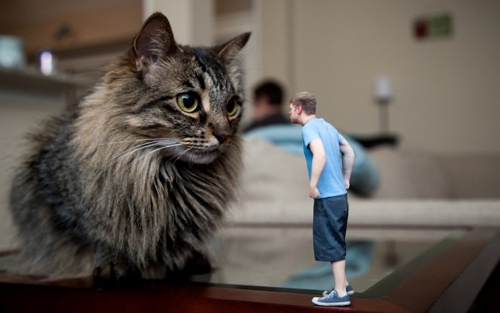 72 Most Unbelievable 3D Printing Creations 5 3D Printing Creations (3)