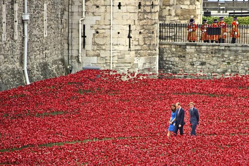 888246-Breathtaking-Poppies-Make-the-Tower-of-London-More-Stunning-121 888,246 Breathtaking Poppies Make the Tower of London More Stunning