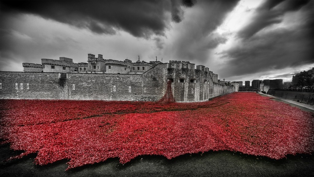 888246-Breathtaking-Poppies-Make-the-Tower-of-London-More-Stunning-171 888,246 Breathtaking Poppies Make the Tower of London More Stunning