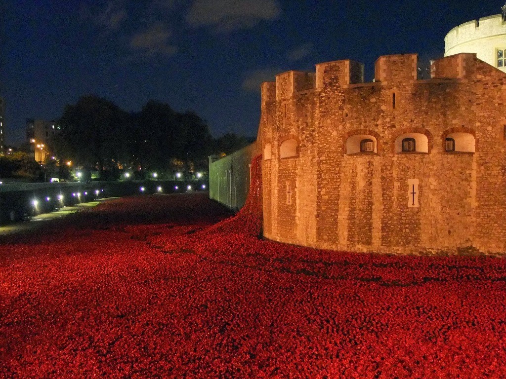 888,246 Breathtaking Poppies Make the Tower of London More Stunning (18)