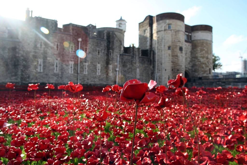 Breathtaking Poppies Make the Tower of London More Stunning 22 888,246 Breathtaking Poppies Make the Tower of London More Stunning (20)