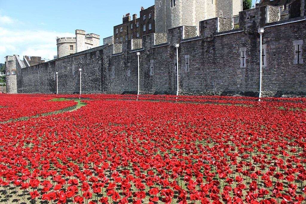 Breathtaking Poppies Make the Tower of London More Stunning 23 888,246 Breathtaking Poppies Make the Tower of London More Stunning (21)
