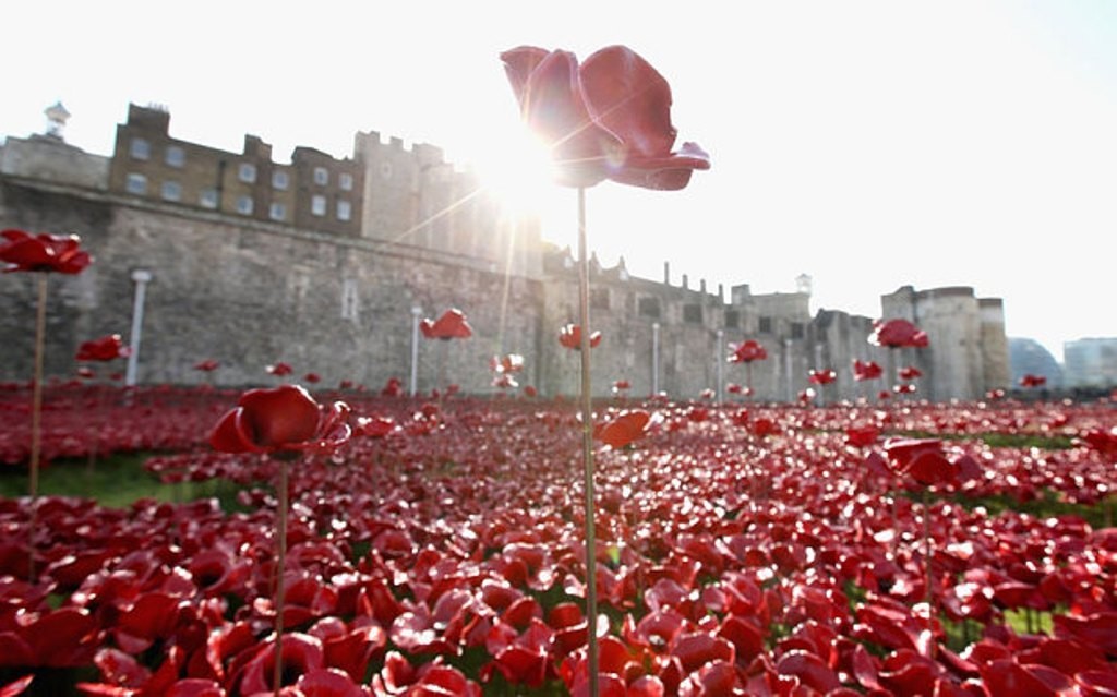 Breathtaking Poppies Make the Tower of London More Stunning 24 888,246 Breathtaking Poppies Make the Tower of London More Stunning (22)