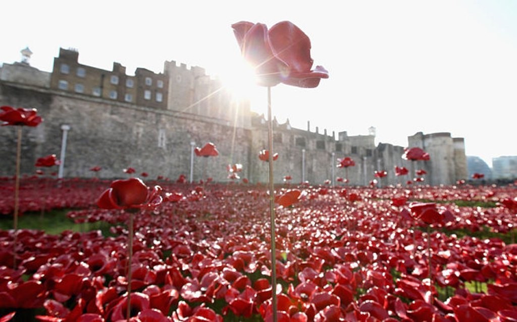 888246-Breathtaking-Poppies-Make-the-Tower-of-London-More-Stunning-221 888,246 Breathtaking Poppies Make the Tower of London More Stunning