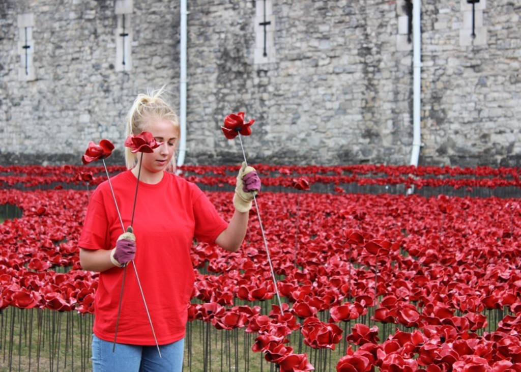 Breathtaking Poppies Make the Tower of London More Stunning 25 888,246 Breathtaking Poppies Make the Tower of London More Stunning (23)