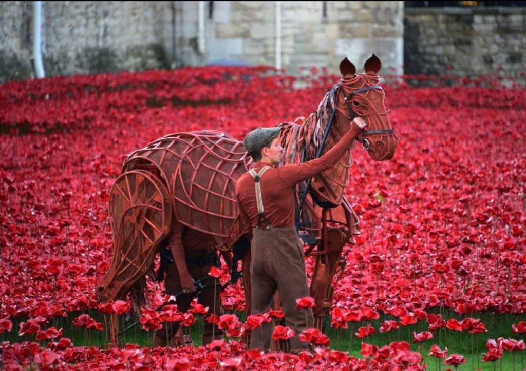 888246-Breathtaking-Poppies-Make-the-Tower-of-London-More-Stunning-241 888,246 Breathtaking Poppies Make the Tower of London More Stunning