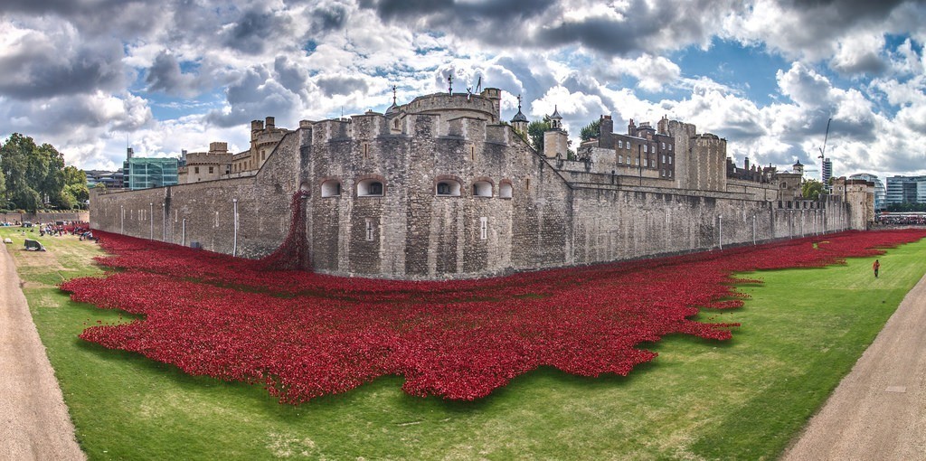 Breathtaking Poppies Make the Tower of London More Stunning 5 888,246 Breathtaking Poppies Make the Tower of London More Stunning (3)