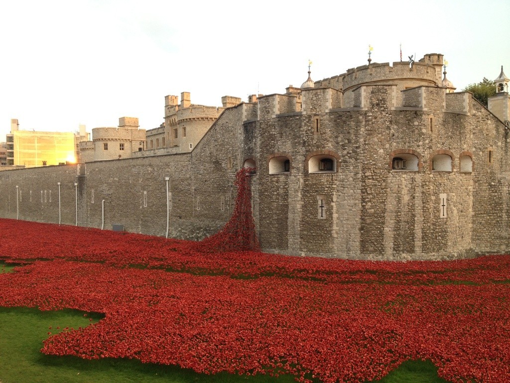 888,246 Breathtaking Poppies Make the Tower of London More Stunning (5)