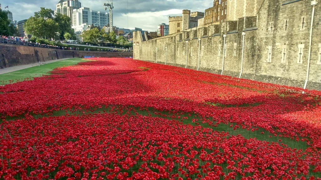 888246-Breathtaking-Poppies-Make-the-Tower-of-London-More-Stunning-61 888,246 Breathtaking Poppies Make the Tower of London More Stunning