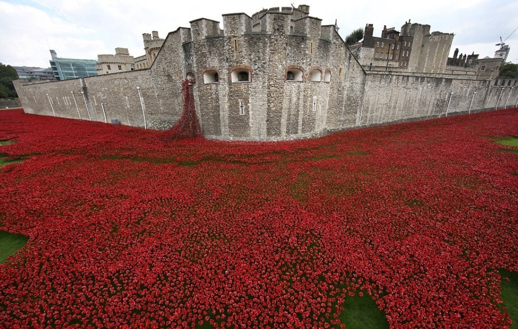 888246-Breathtaking-Poppies-Make-the-Tower-of-London-More-Stunning-71 888,246 Breathtaking Poppies Make the Tower of London More Stunning