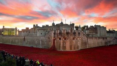 Breathtaking Poppies Make the Tower of London More Stunning 1 888246 Breathtaking Poppies Make the Tower of London More Stunning 91 Breathtaking Poppies Make the Tower of London More Stunning - 1