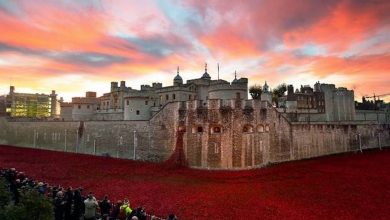 888246 Breathtaking Poppies Make the Tower of London More Stunning 91 Breathtaking Poppies Make the Tower of London More Stunning - 7