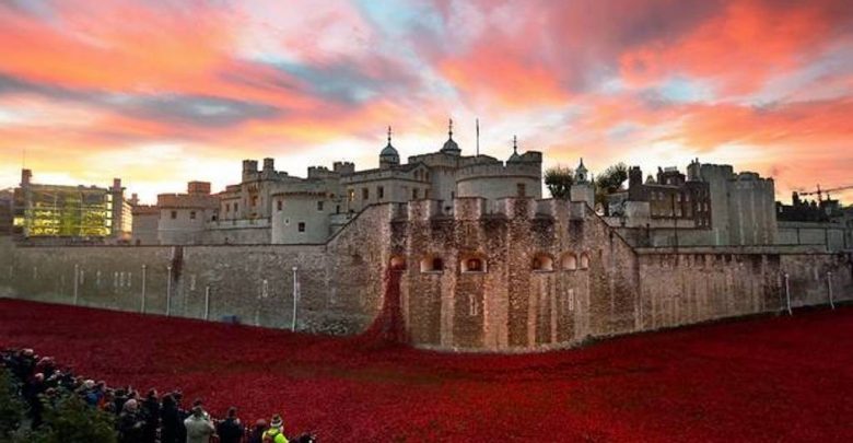 888246 Breathtaking Poppies Make the Tower of London More Stunning 91 Breathtaking Poppies Make the Tower of London More Stunning - handmade red poppies 1