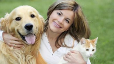 The Main Health Guide to Take Care of Your Pets 17 Copy of The Main Health Guide to Take Care of Your Pets 411 The Main Health Guide to Take Care of Your Pets - 17
