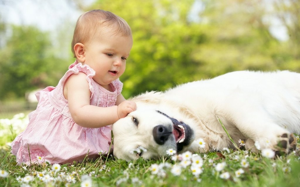 The Main Health Guide to Take Care of Your Pets 30 The Main Health Guide to Take Care of Your Pets (29)