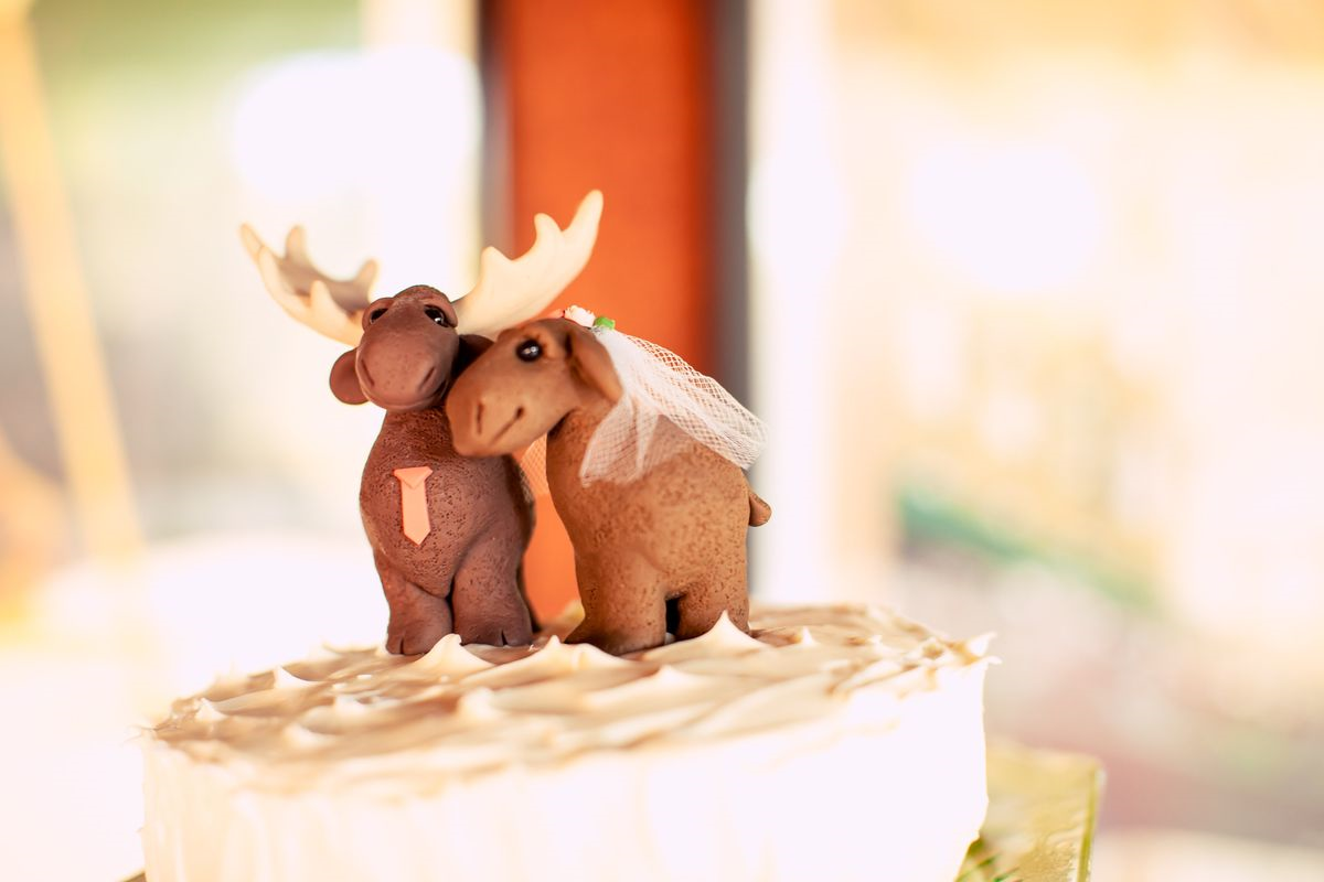 6a01156f9ad9e3970b01a511e54ab4970c Top 10 Most Unique and Funny Wedding Cake Toppers 2019
