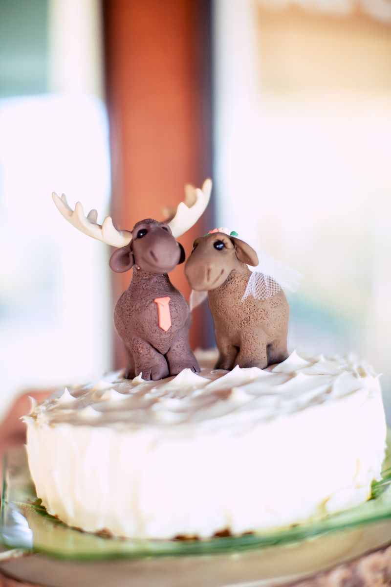 6a01156f9ad9e3970b01a73df0a13c970d Top 10 Most Unique and Funny Wedding Cake Toppers 2019