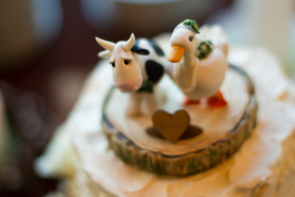 hurd-reception-13 Top 10 Most Unique and Funny Wedding Cake Toppers 2019