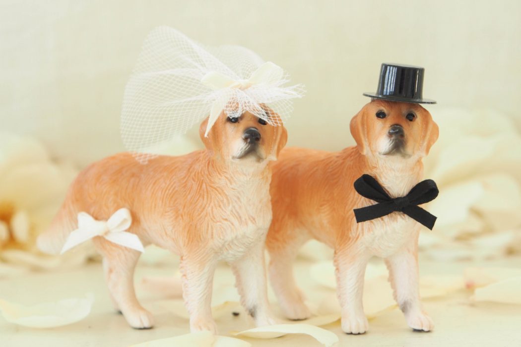 il_fullxfull.768834120_fzyu Top 10 Most Unique and Funny Wedding Cake Toppers 2019