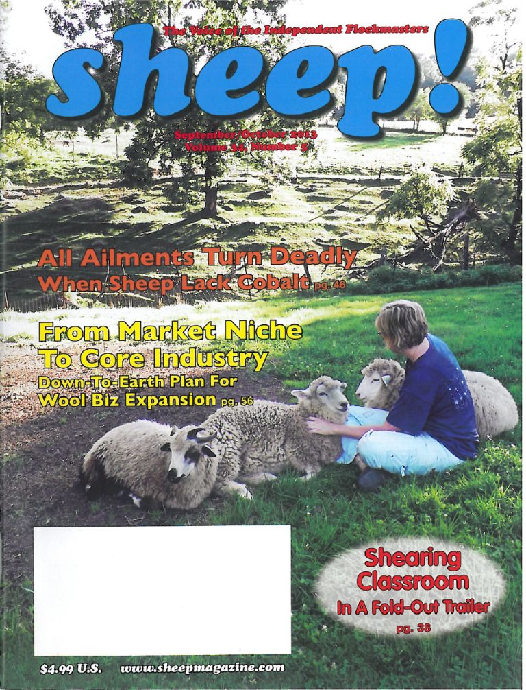 Sheep-Cover-compressed Top 10 Weirdest Magazines in the World