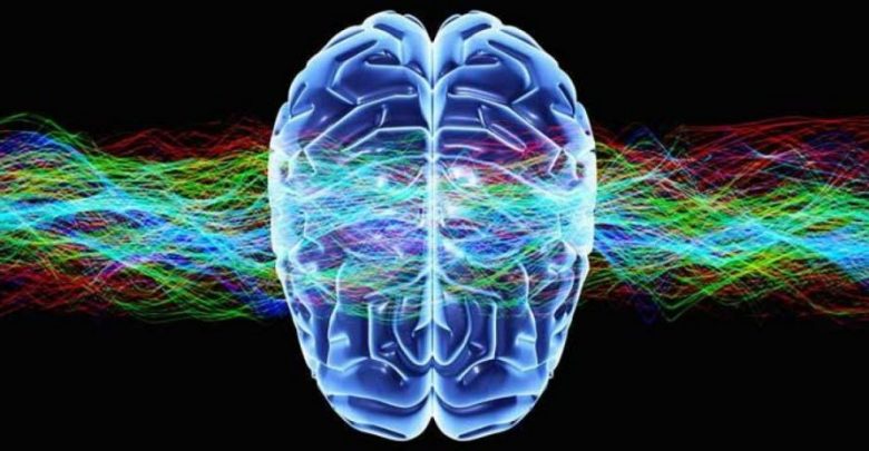 brain speed 1560x690 c Top 10 Hottest Topics in Brain Sciences - 1