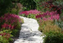 7 21 024 The Top 10 Flowers That Bloom all Year - patios for relaxation 17