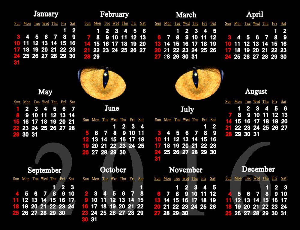 calendar 2016 (47)